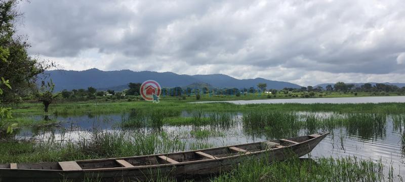 Land For Sale Have Afadjato South Volta Region - 7