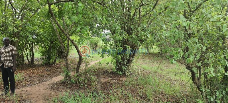 Land For Sale Have Afadjato South Volta Region - 10