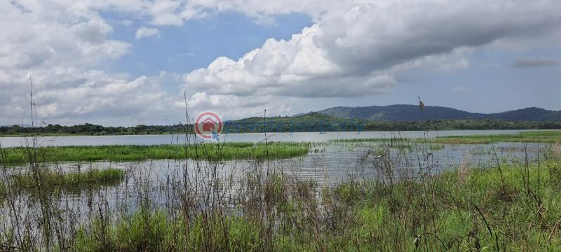 Land For Sale Have Afadjato South Volta Region - 0