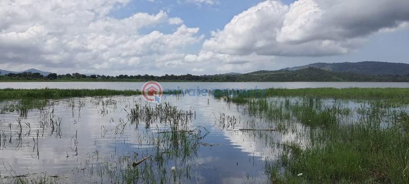 Land For Sale Have Afadjato South Volta Region - 6