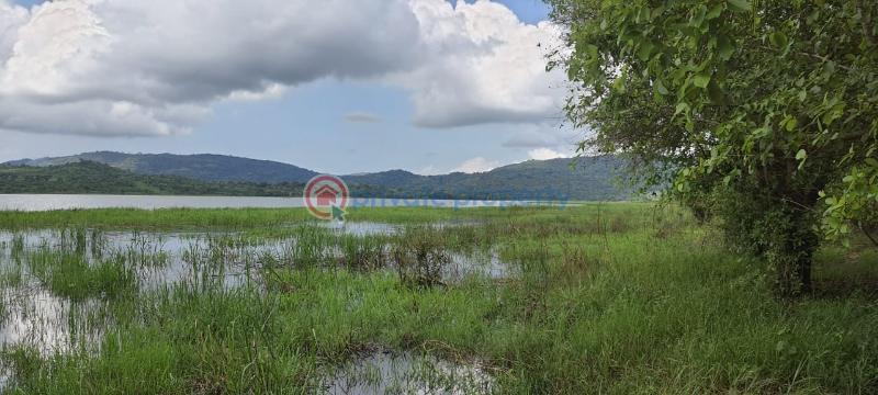 Land For Sale Have Afadjato South Volta Region - 8