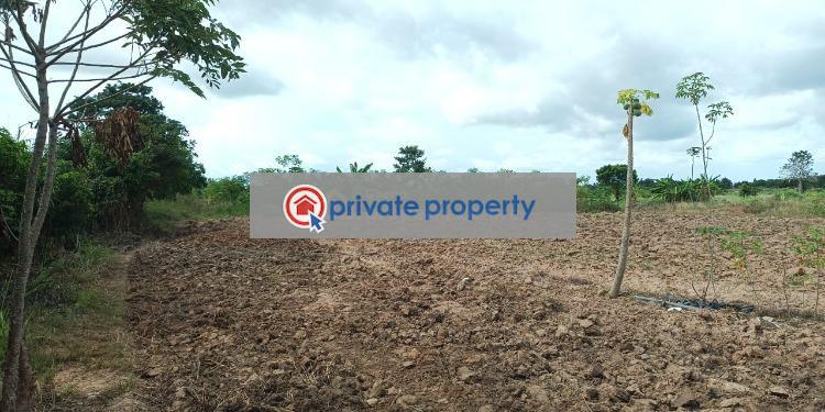 Mixed use Land For Sale &nbsp;sogakope Central Tongu Volta Region - 3