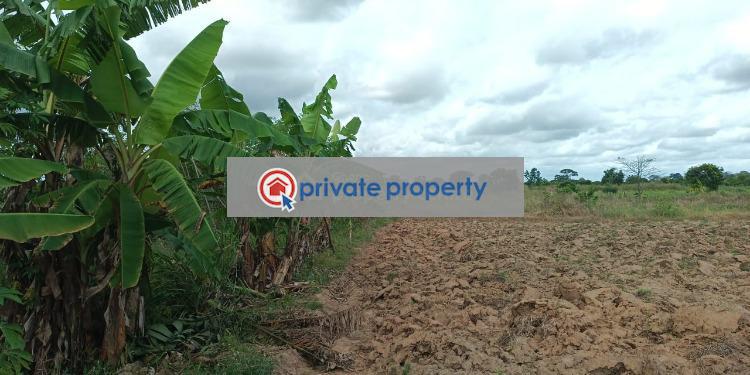 Mixed use Land For Sale &nbsp;sogakope Central Tongu Volta Region - 2