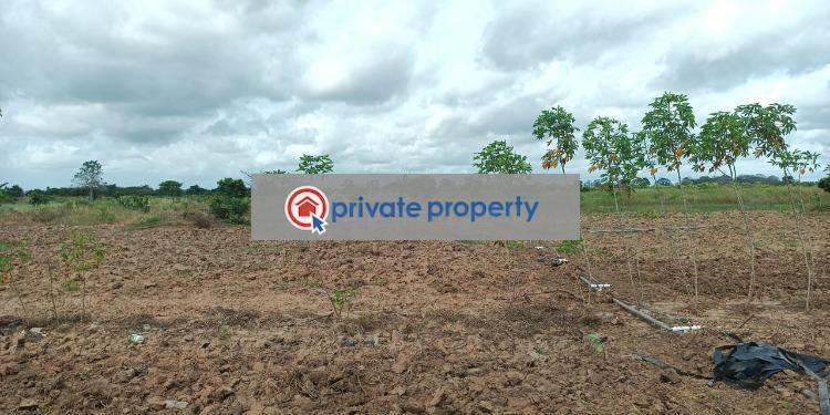 Mixed use Land For Sale &nbsp;sogakope Central Tongu Volta Region - 4