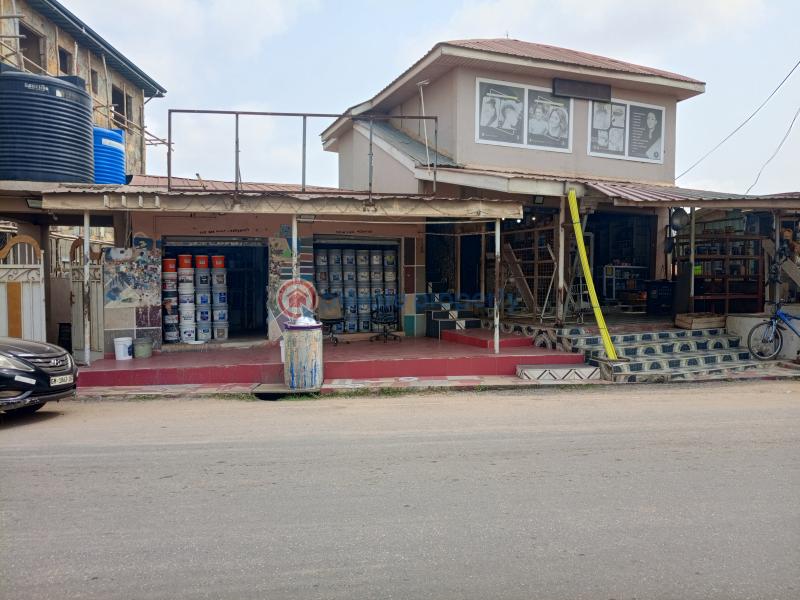 7 bedroom Block of Flats For Sale Ga Odumase Awoshie Ga Central Municipal Accra - 0