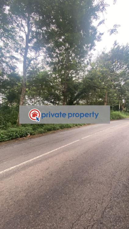 Land For Sale &nbsp;manfe Koforidua Highway Akuapim North Eastern Region - 4