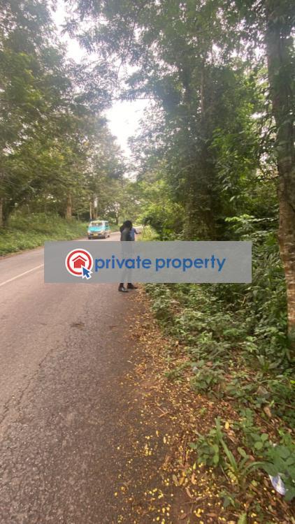 Land For Sale &nbsp;manfe Koforidua Highway Akuapim North Eastern Region - 7