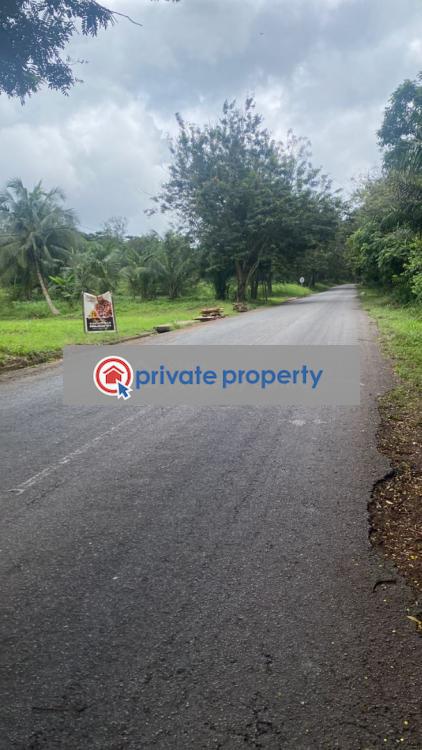 Land For Sale &nbsp;manfe Koforidua Highway Akuapim North Eastern Region - 2