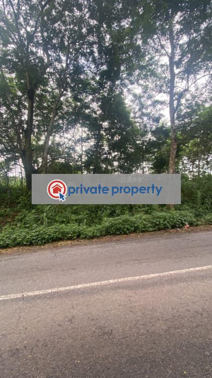 Land For Sale &nbsp;manfe Koforidua Highway Akuapim North Eastern Region - 3