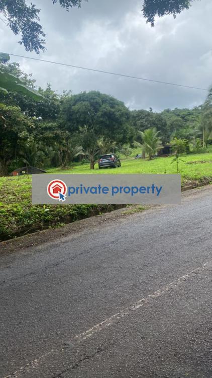 Land For Sale &nbsp;manfe Koforidua Highway Akuapim North Eastern Region - 1