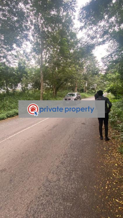 Land For Sale &nbsp;manfe Koforidua Highway Akuapim North Eastern Region - 6