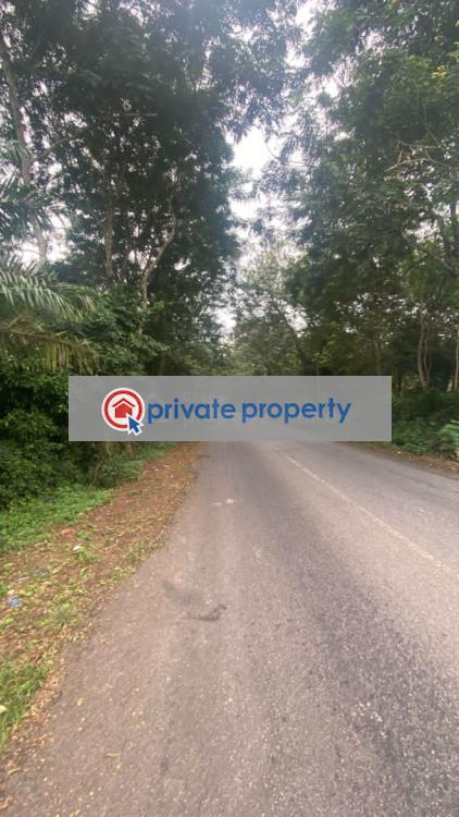 Land For Sale &nbsp;manfe Koforidua Highway Akuapim North Eastern Region - 5