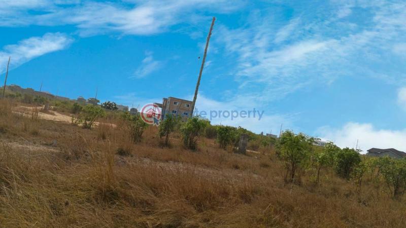 Land For Sale Tsopoli Police Barrier Tsopoli Ningo Prampram District Accra - 1