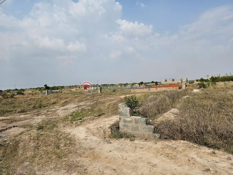 Land For Sale New Ningo Police Station Prampram Ningo Prampram District Accra - 5