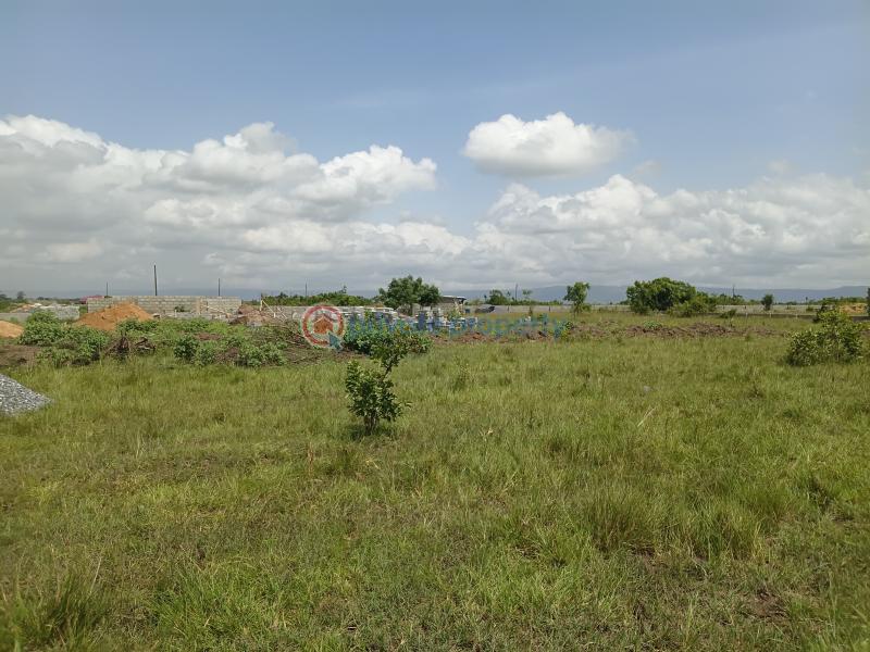 Land For Sale Naason City Project Shai Hills Shai Osudoku Accra - 2