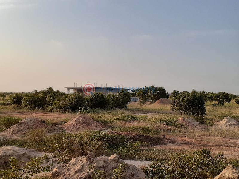 Land For Sale Tema Accra - 3