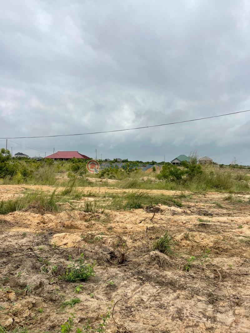 Land For Sale Ningo Prampram Senior High School Prampram Ningo Prampram District Accra - 3