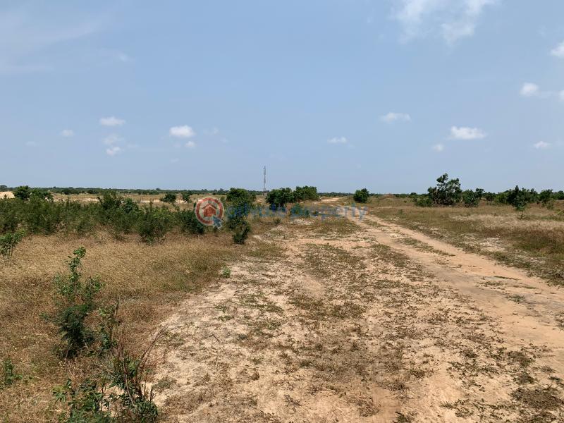 Land For Sale Tsopoli Ningo Prampram District Accra - 3