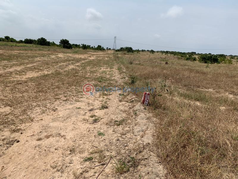 Land For Sale Tsopoli Police Barrier Tsopoli Ningo Prampram District Accra - 1