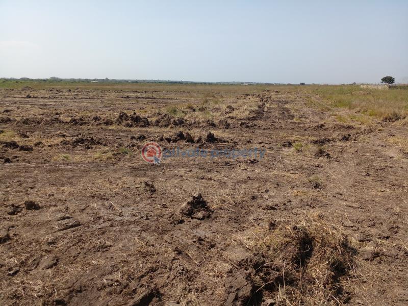 Land For Sale Central University Dawhenya Ningo Prampram District Accra - 3