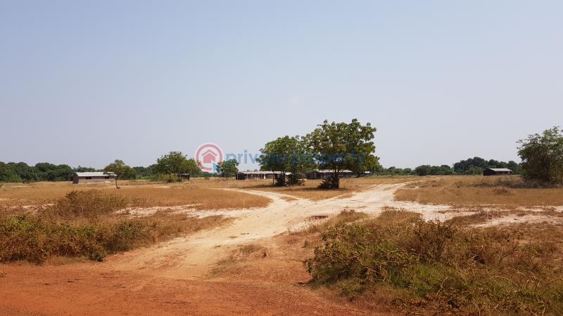 Land For Sale Tsopoli Police Barrier Tsopoli Ningo Prampram District Accra - 5