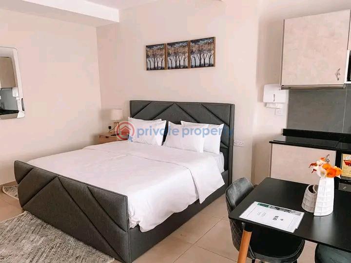 1 bedroom Mini Flat Short let Airport Residential Area Accra - 5