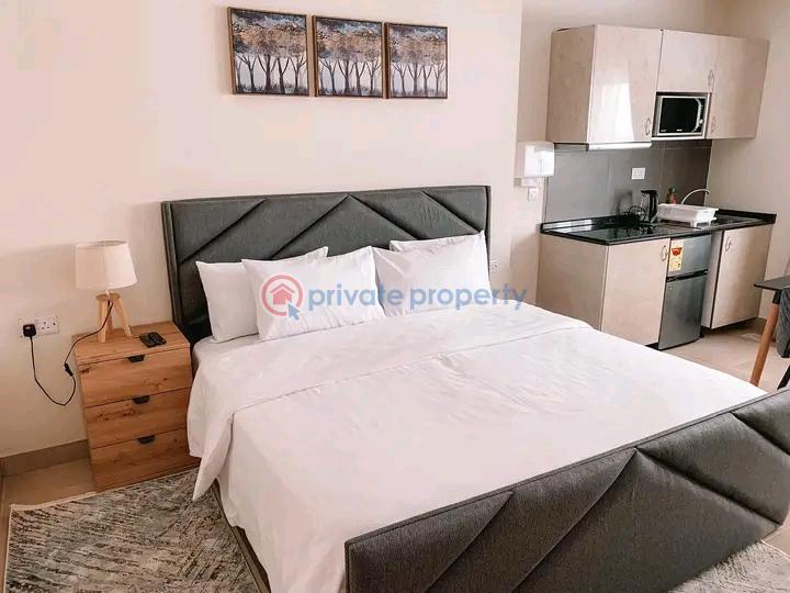 1 bedroom Mini Flat Short let Airport Residential Area Accra - 6