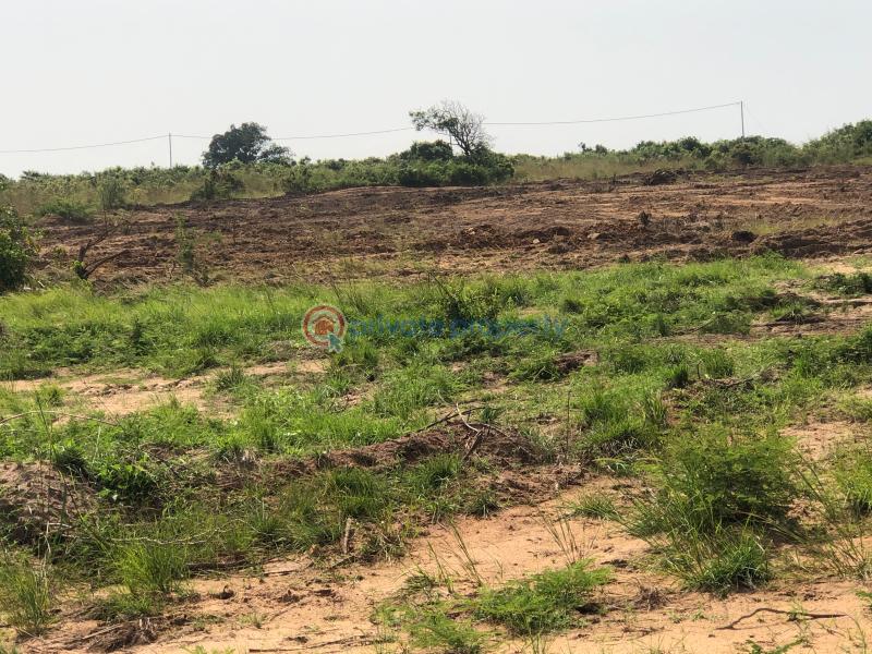 Land For Sale Central University Dawhenya Ningo Prampram District Accra - 1
