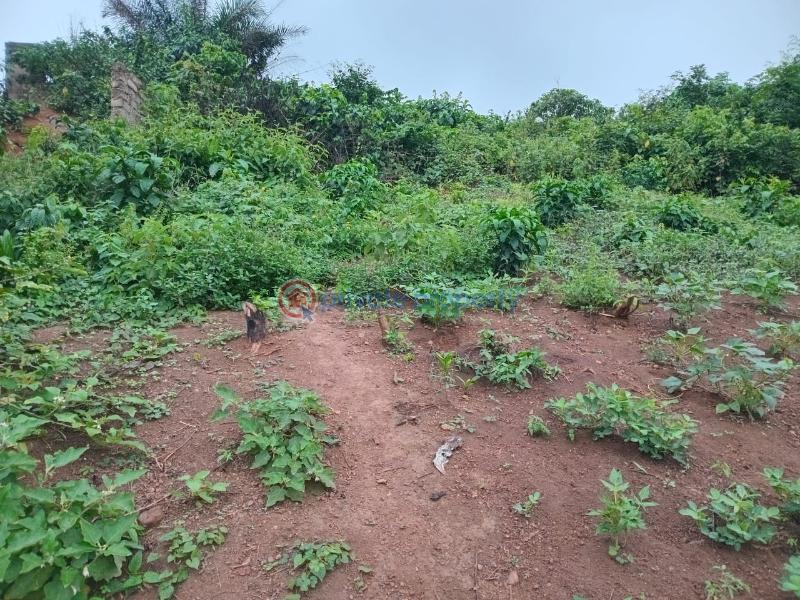 Land For Sale Sofokrom, Takoradi Takoradi Sekondi-Takoradi Western Region - 0