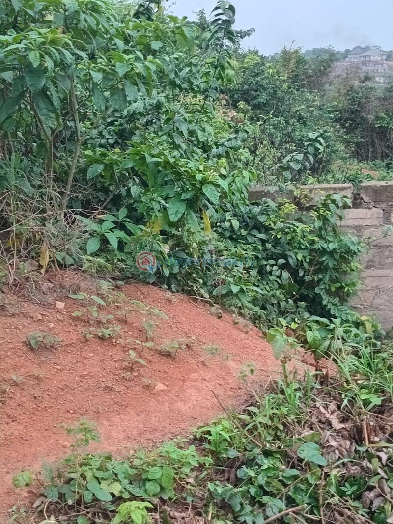 Land For Sale Sofokrom, Takoradi Takoradi Sekondi-Takoradi Western Region - 2