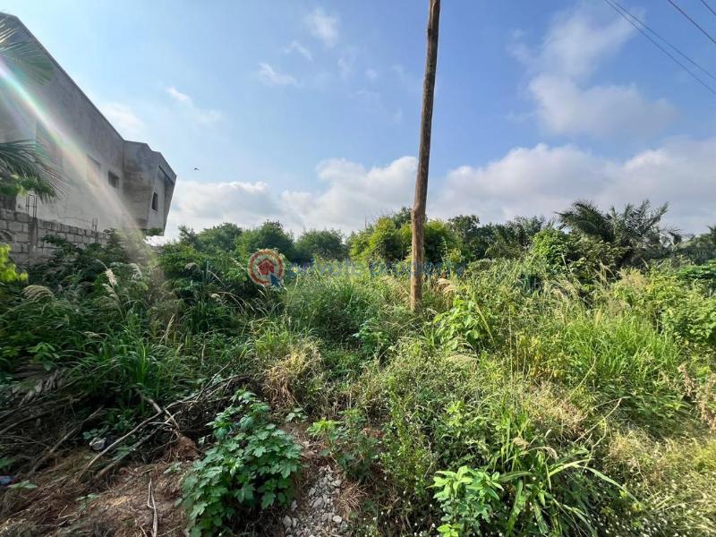 Land For Sale Ayi Mensah Oyarifa La Nkwantanang Madina Municipal Accra - 1