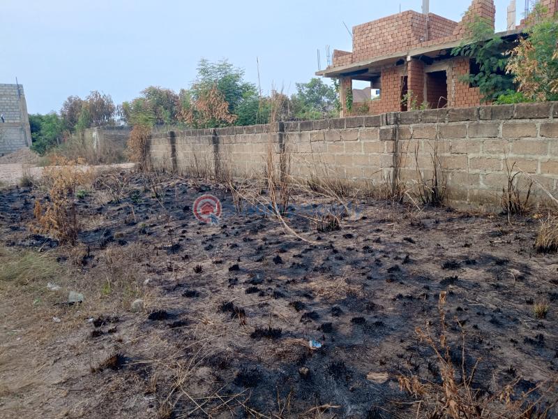 Land For Sale Obeyeyie Amasaman Ga West Municipal Accra - 0