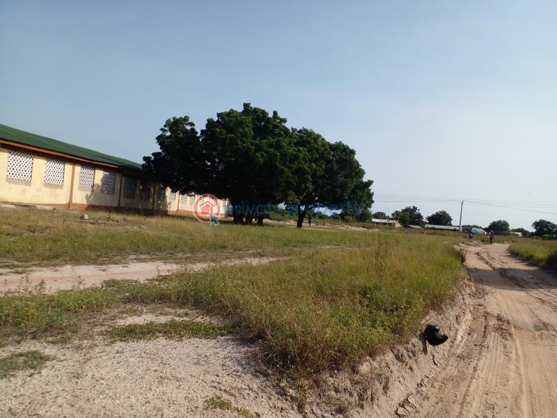 Land For Sale Ningo Police Station Solomon Court Tsopoli Ningo Prampram District Accra - 2