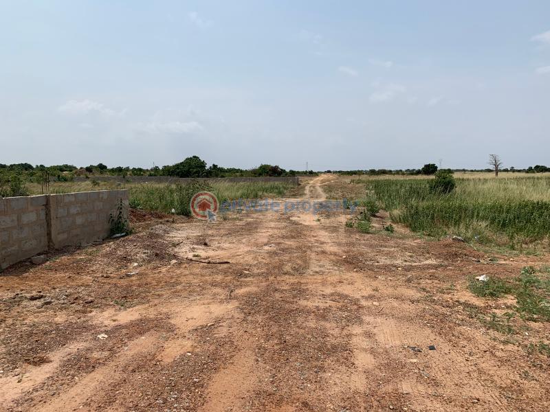 Land For Sale Police Barrier Central University Tsopoli Ningo Prampram District Accra - 4