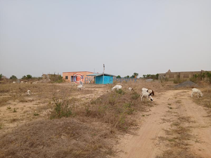 Land For Sale Tsopoli Police Barrier Tsopoli Ningo Prampram District Accra - 4