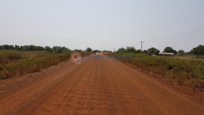 Land For Sale Tema Accra - 3