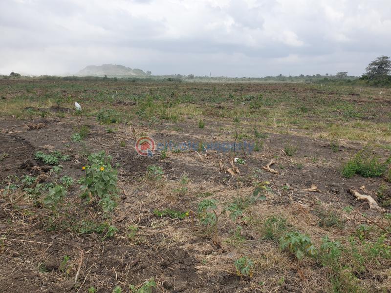 Land For Sale Tema Accra - 1