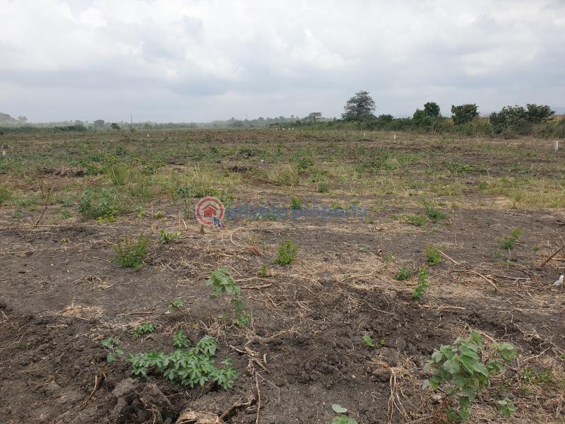 Land For Sale Tema Accra - 4