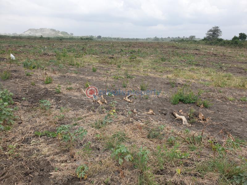 Land For Sale Tema Accra - 5