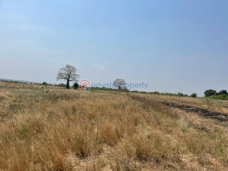 Land For Sale Tsopoli Ningo Prampram District Accra - 4