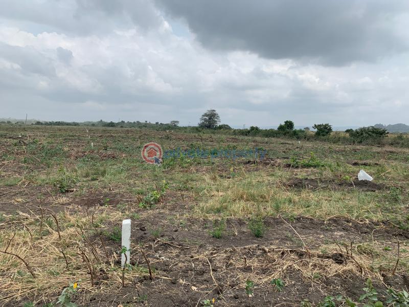 Land For Sale Tema Accra - 1