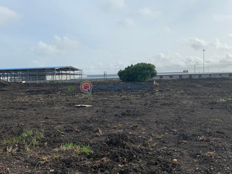 Land For Sale Tema Accra - 4