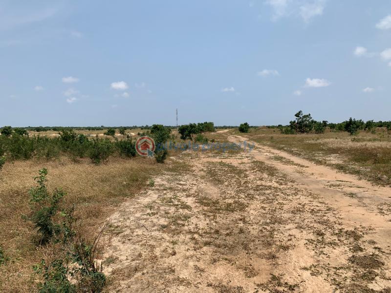 Land For Sale Tsopoli Ningo Prampram District Accra - 2