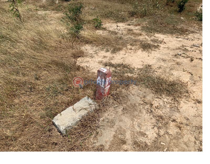 Land For Sale Tsopoli Police Barrier Tsopoli Ningo Prampram District Accra - 1