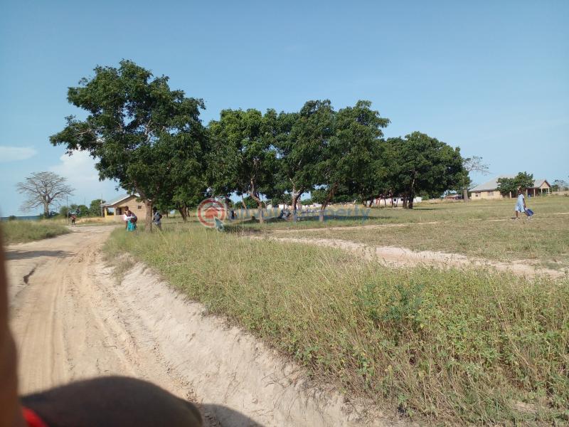 Land For Sale Lakpleku Central University Prampram Ningo Prampram District Accra - 4
