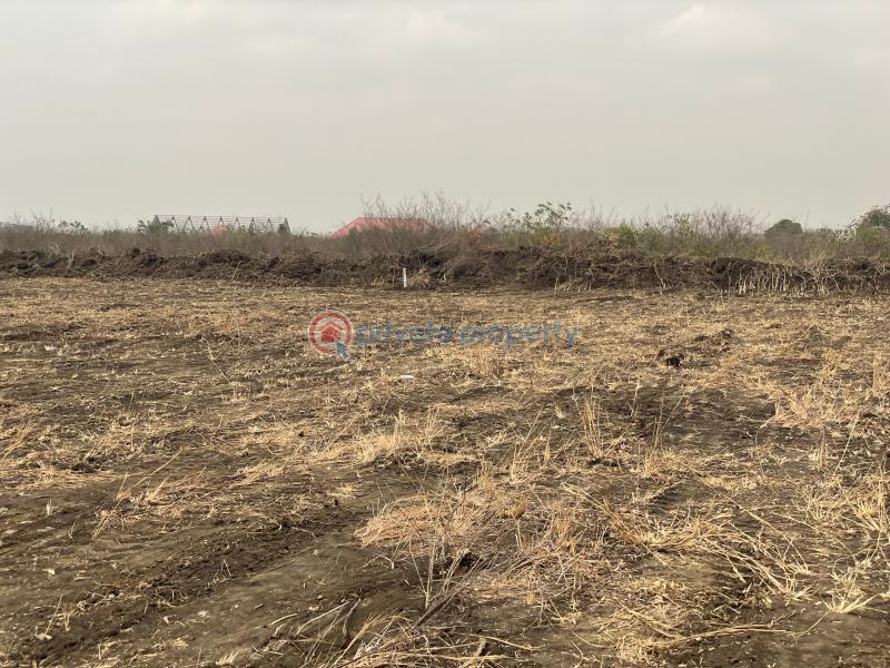 Land For Sale Tsopoli Ningo Prampram District Accra - 4