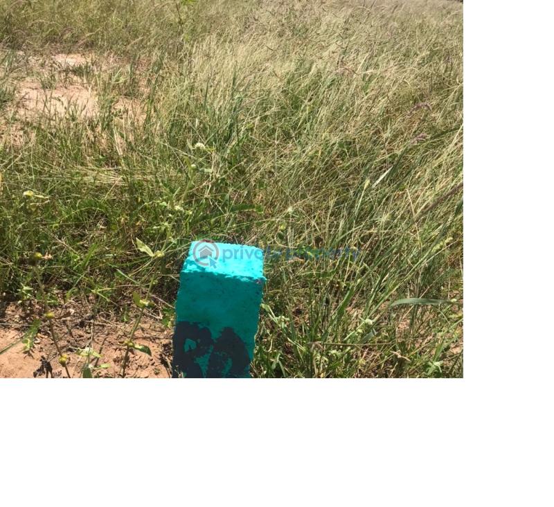 Land For Sale Central University Tsopoli Ningo Prampram District Accra - 3