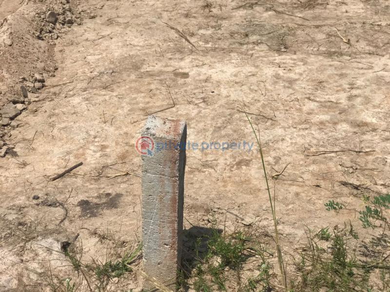 Land For Sale Central University Tsopoli Ningo Prampram District Accra - 0