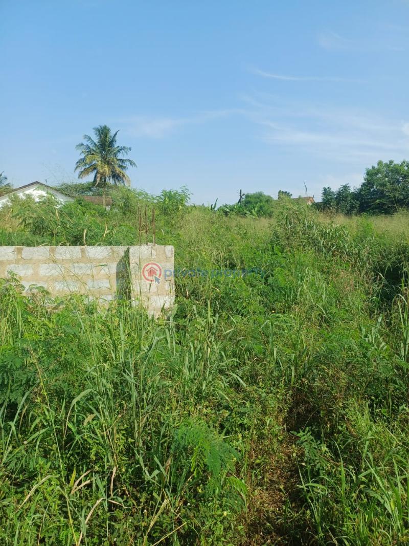 Land For Sale Pokuase (Pokoasi) Ga West Municipal Accra - 0