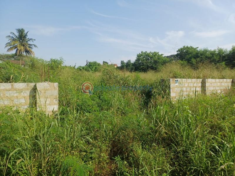 Land For Sale Pokuase (Pokoasi) Ga West Municipal Accra - 2